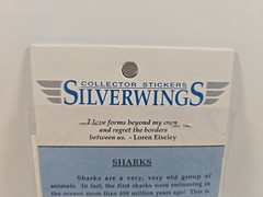 Vintage Silver Wings Shark Stickers Puffy 6 Count Collector Stickers New