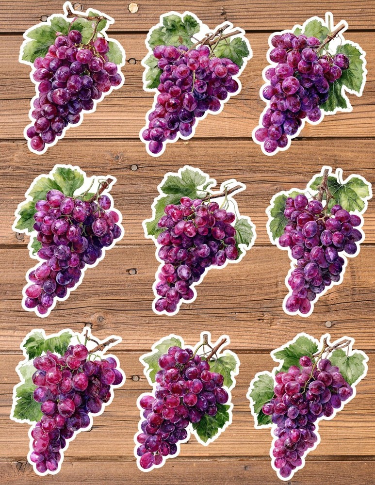 Bunch of Purple Grapes Die Cut Vinyl Stickers Scrapbooking Laptop Waterbottle