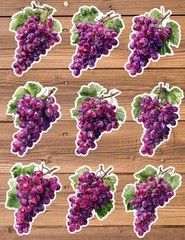 Bunch of Purple Grapes Die Cut Vinyl Stickers Scrapbooking Laptop Waterbottle