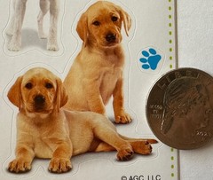 PUPPY & KITTY Kid Squad Stickers(18pc)AGC…Pet…Paw print…Companion…Card Making…