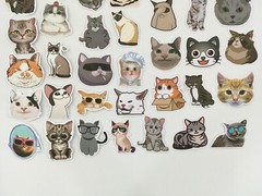 50 Pcs Cat Stickers Kitty Animal Cute Sticker Kids Boys Girls
