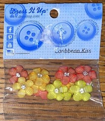 Dress it up Memory Mates- Caribbean Kiss-Flowers W/Gems Scrapbook Embellishments