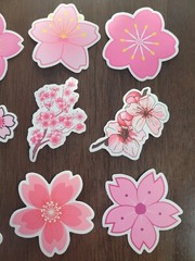 STICKERS x 10 Flowers Pink Cherry Blossom Orchid Tree Sticker CHE5