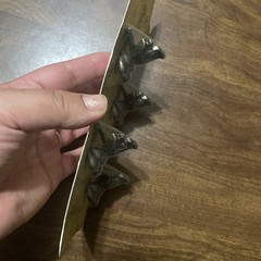 Graphic 45 Staples Claw Feet 4/Pieces Antique Brass 3.35″X1.6″ G4501027 BB13-456
