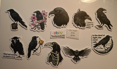 Crow – Bird – Stickers – 10 Pieces – Choose between 5 styles! See Description!