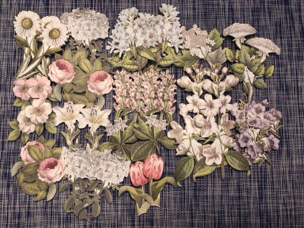 Anna Griffin Botanical Engraving Floral Stickers set of 40
