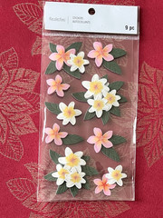 TROPICAL FLOWERS BY RECOLLECTIONS 3D STICKERS – RARE