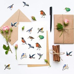 500 Pcs Birds Stickers Vinyls Waterproof Birds Self-Adhesive Decal for Kids