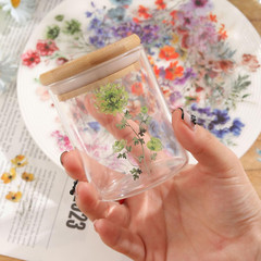 50-Pack Transparent Waterproof Watercolor Wildflower Flower Scrapbook Stickers –