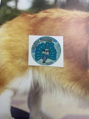 WW Small ScratchNSniff Sticker Mod Grape Scent Peacock Grape Work