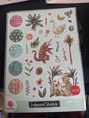 2X EMBOSSING STICKERS FOR SCRAPBOOKING NEW (Z647)