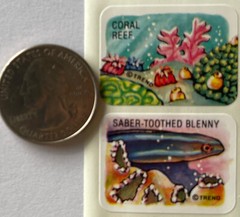 CORAL REEF Stickers(10pc)Trend •Fish•Ocean•Sea Turtle•Anemone •Octopus•Sting•