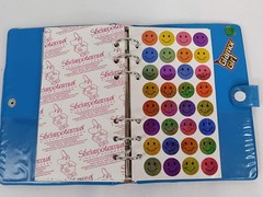 Vintage Stickopotamus Colorful 6-Ring Binder 12 Sticker Pages Scrapbook
