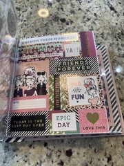 The Paper Studio Fashion Floral Scrapbook Stickers & Pages Complete NEW