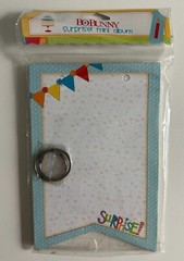 Bo Bunny American Crafts Mini Albums-Variations Available-You Choose