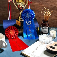 9 PCS Award Ribbons Set 1st 2nd 3rd Place Rosette Prize Winner Recognition