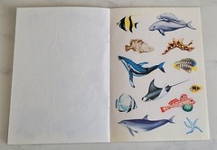 New Steve Parish Australian Seashores Wildlife Stickers Play Learn Sea Fish