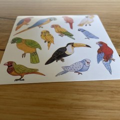 10 Sticker Sheets Unique Colourful Australian Birds Wildlife multicoloured
