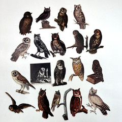 Owl Washi Paper Stickers Vintage Style Scrapbook Junk Journals Collage