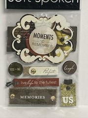ME & MY BIG IDEAS Soft Spoken Moments To Remember Embellishments Scrapbooking