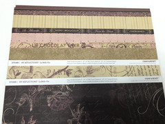 MY REFLECTIONS LA BELLE VIE Close to My Heart Paper Pack & Stickers 2 Stamp Sets