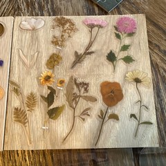 Dried Flowers Sticker Pack, Multicolor Flowers & Plants/Variety of Colors