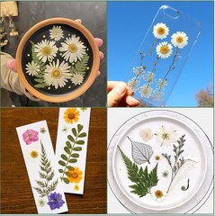 204 Pcs Dried Pressed Flowers for Resin Crafts, Real Purple Pink 204pcs
