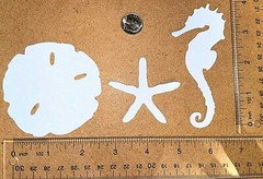 30 SAND & SEA cardstock paper die cut embellishments tim holtz