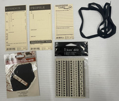 Lot of 13 12 X 12 Paper, Stickers, and Embellishments With Free Shipping