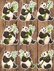 Panda Bamboo Die Cut Vinyl Stickers Set Scrapbooking Laptop Waterbottle