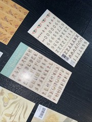 Scrapbooking 43 Piece Lot Pages Stickers K&Company New