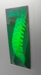 VTG Polaroid 3-D 90’s Holograms Prototypes – HUMAN SPINE / INSTITUTE 4.5 X 2″