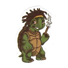 Stickers for Water Bottles, 420 Stickers for Teens Adults, Vinyl Waterproof