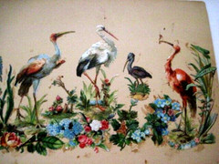 Fantastic 1800’s Scrapbook Page w/ Gorgeous Die Cuts of Birds & Frog *