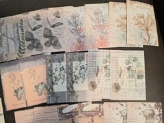 Retro Material Pack 100 Pc Scrapbooking JJ Craft Kit Supplies Plant Handwriting