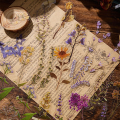 380 Pcs Pressed Flower Sticker Set Dried Flowers Themed Resin Journaling Sticker