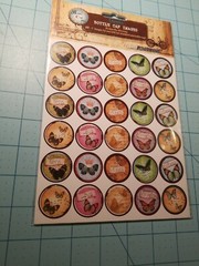 Scrapbooking Butterfly Set of 3 Items: Glittery, Bottle Caps & Puffy Decor – NEW