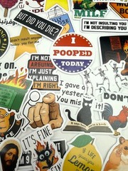 NEW Meme Stickers 15 Pcs Funny Humor Laptop Water Bottle Savage Snarky Sassy