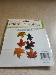 Colorbok~Fall Leaves~Photo Graphics Diecuts