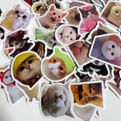 Cute Cat Sticker For packaging Random 2pc NEW from Japan 2枚セット　ステッカー　シール　かわいい