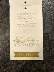 Anna Griffin Winter Wonderland Vellum Quote Stickers Used