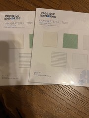 Creative Memories Vellum & Laser Paper Specialty Paper Bundle-3 Paper Packs! New