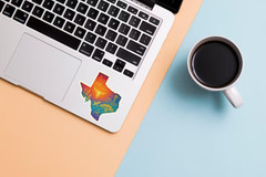 Texas Gold Foil Sticker – Cowboy, Longhorn Skull, Hummingbird & State Icons