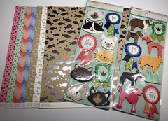 Anna Griffin Best In Show Card Stock and Stickers