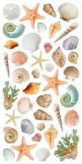 Crafts Stickers Seashells Sea Shells Star Fish Various Types Repeats