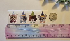 16 Crazy Cat Stickers Silly Feline Stickers Funny Face Cat Stickers Cat Lovers
