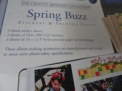 Lot 3 CREATIVE MEMORIES items-2 Spring Buzz Stickers&Paper&Titletopia-circle/ban