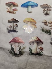 Mushroom Assorted Lot Of Ephemera For Junk Journaling Or Paper Crafting