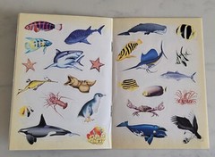 New Steve Parish Australian Seashores Wildlife Stickers Play Learn Sea Fish