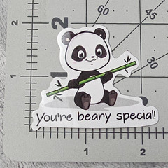 You’re Beary Special Panda Sticker Cute Animal Pun Kawaii Teacher Reward Decal